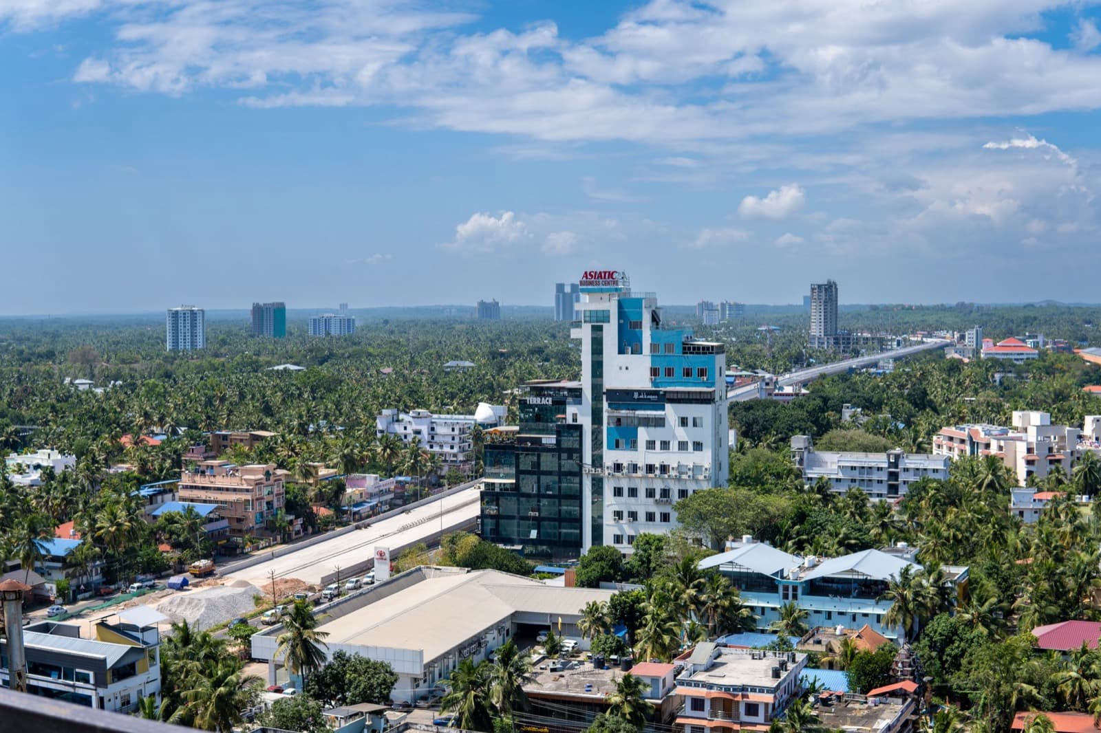 Low-rise buildings and palm trees across an Indian city